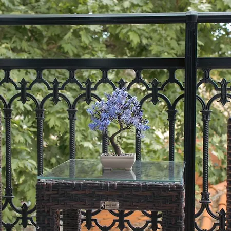 Amaya Pine باناجيا