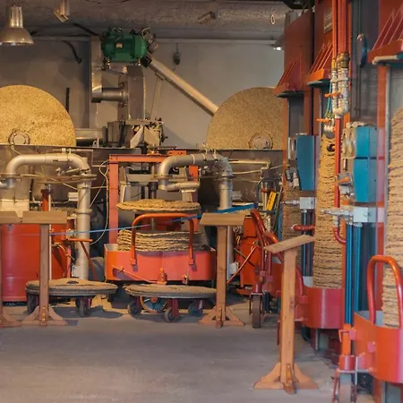 Amaya Pine باناجيا