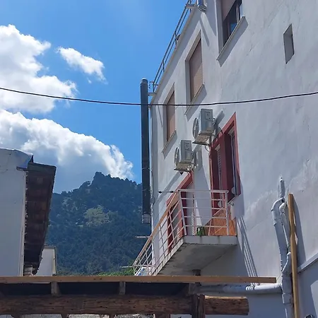 Amaya Pine باناجيا