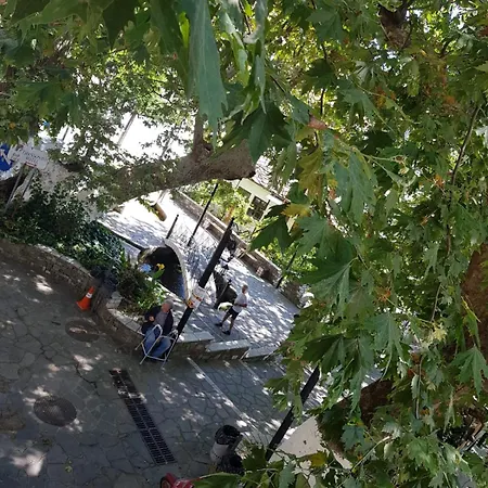 بيت ضيافة Amaya Pine باناجيا