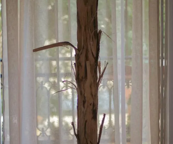 Guest house Amaya Pine Panagia (Thasos)