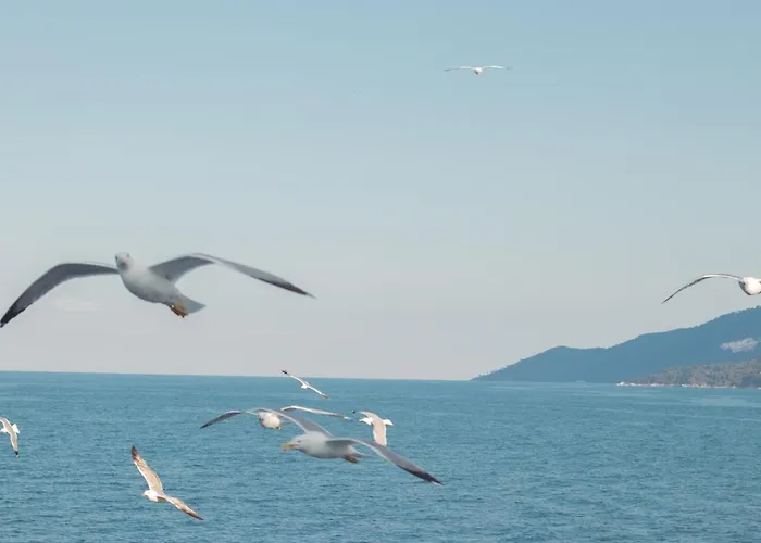 Amaya Pine Guest house Panagia (Thasos)