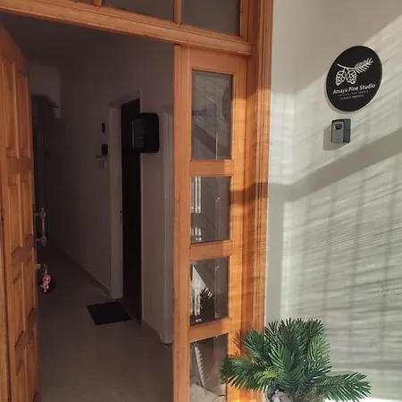 Maison d'hôtes Amaya Pine *