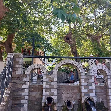 Amaya Pine Panagia (Thasos)