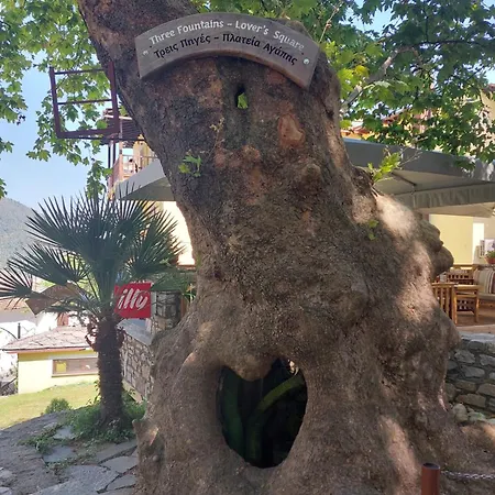 Πανσιόν Amaya Pine