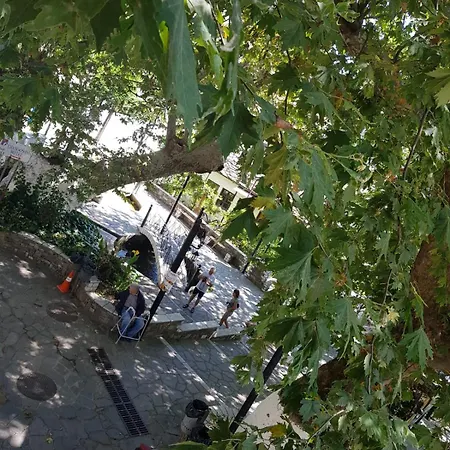 Guest house Amaya Pine Panagia (Thasos)