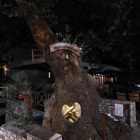 Pensiune Amaya Pine Panagia (Thasos)