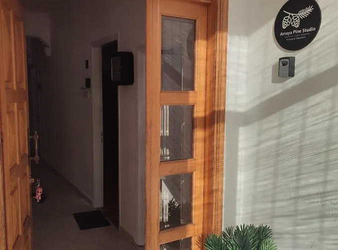 Pensión Amaya Pine 3*