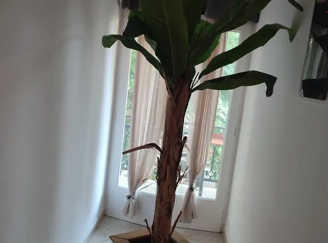 Amaya Pine Pensión 3*