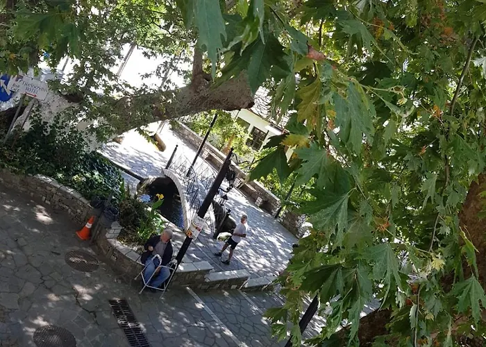 Pensión Amaya Pine Panagia (Thasos)